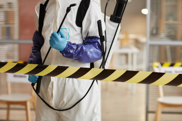 Professional Infectious Disease Decontamination technician working in Cedarpines Park, CA