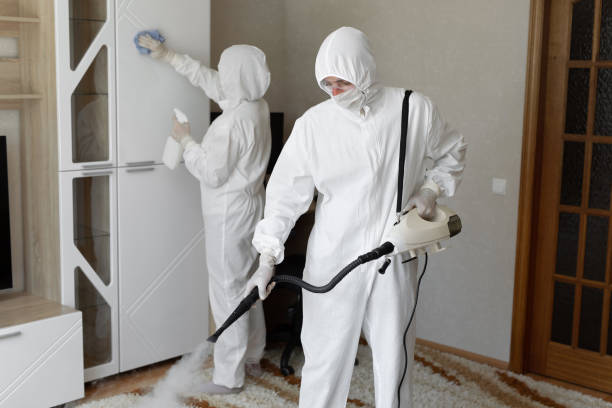 24/7 Emergency Infectious Disease Decontamination experts in Cedarpines Park, CA